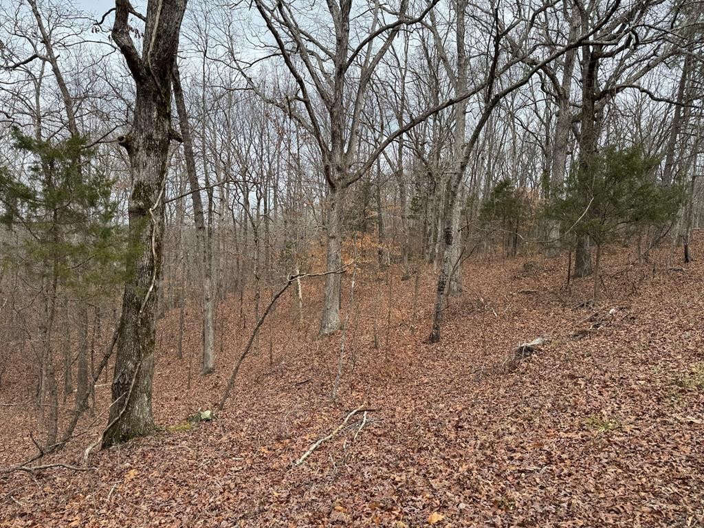 613 Williams Grove Rd