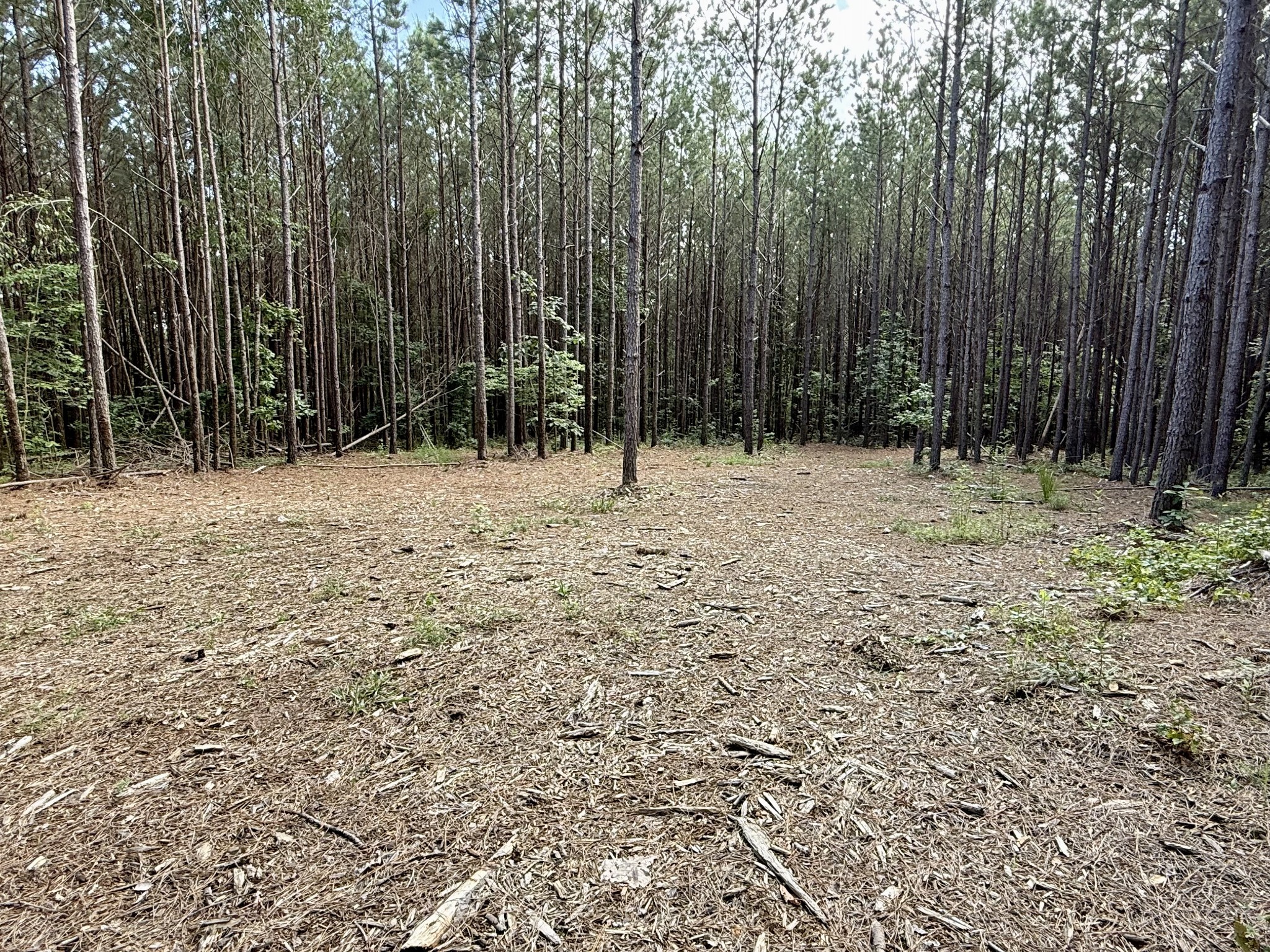 191 Seiber Ridge RD