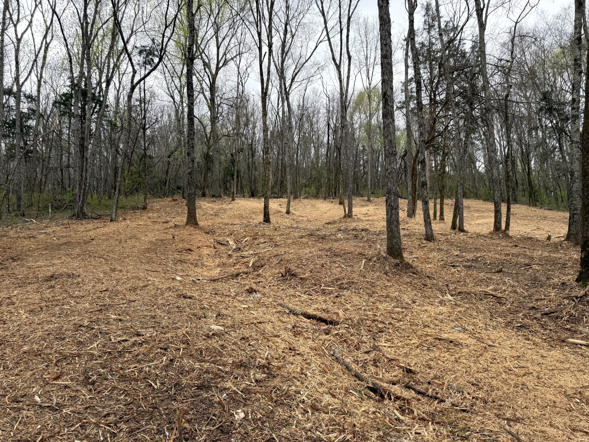 0 Saddle Lane