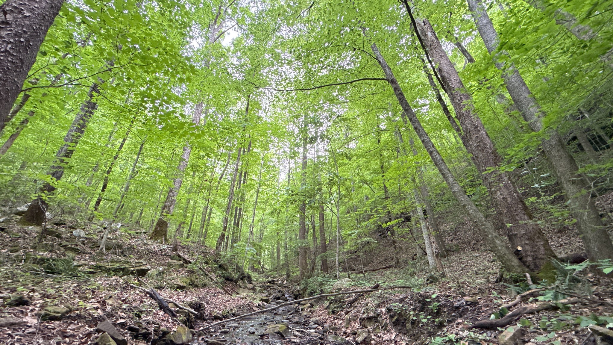 0 Murphy Hollow Rd