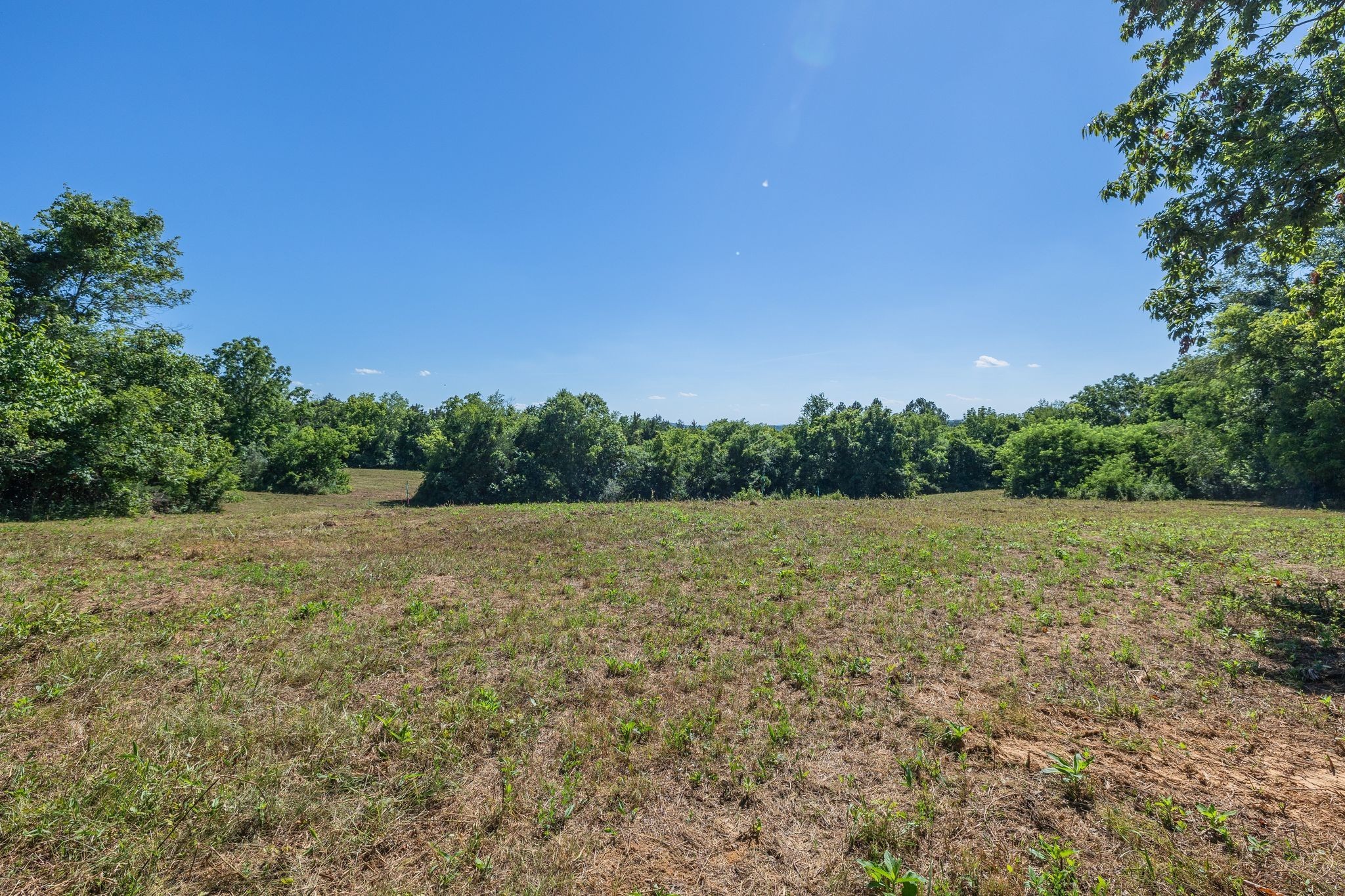 1033 Bugscuffle Road primary photo