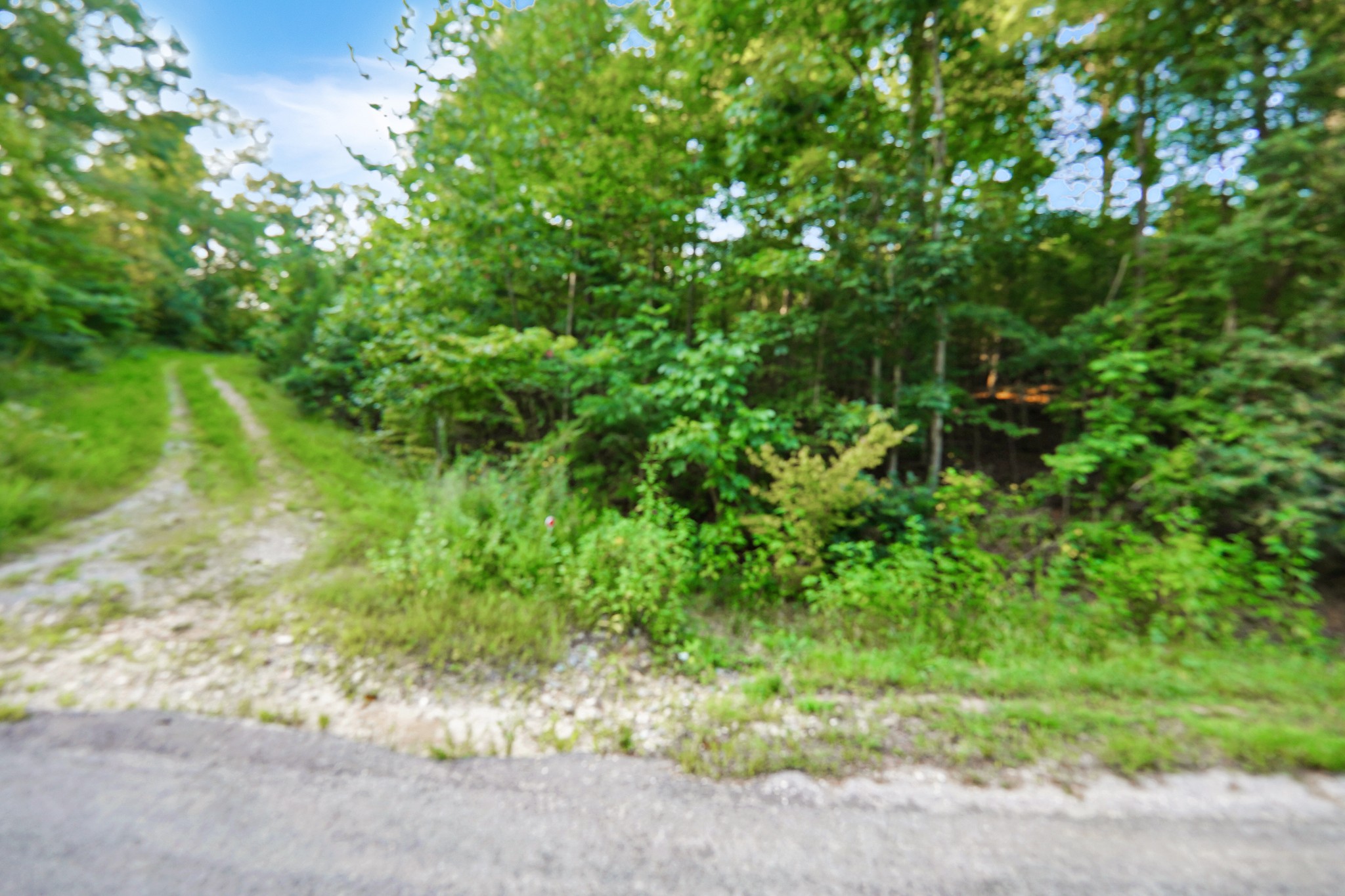 4 Cox Hollow Road primary photo