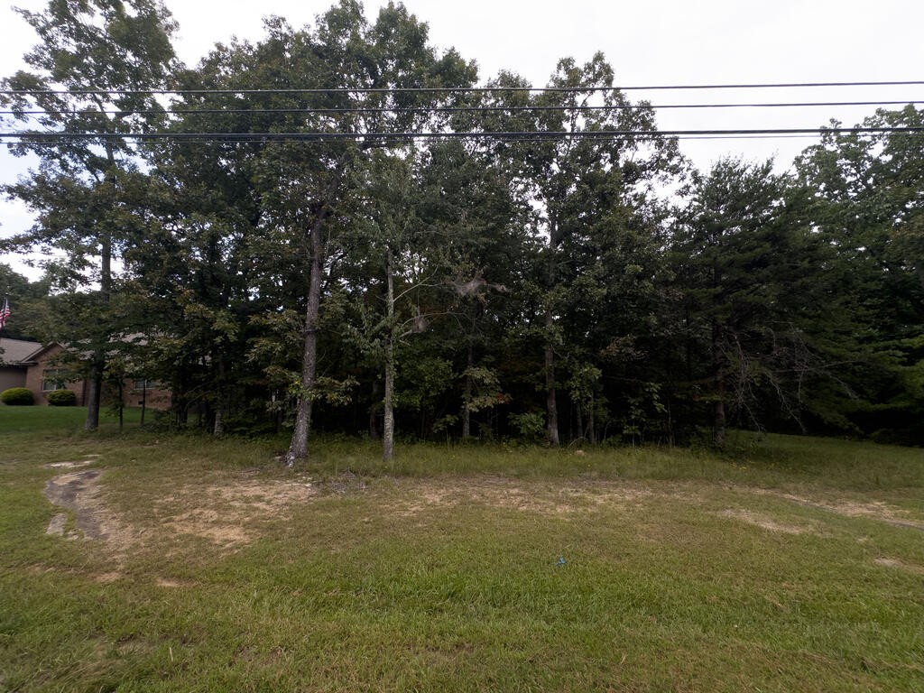 217 Westchester Dr primary photo