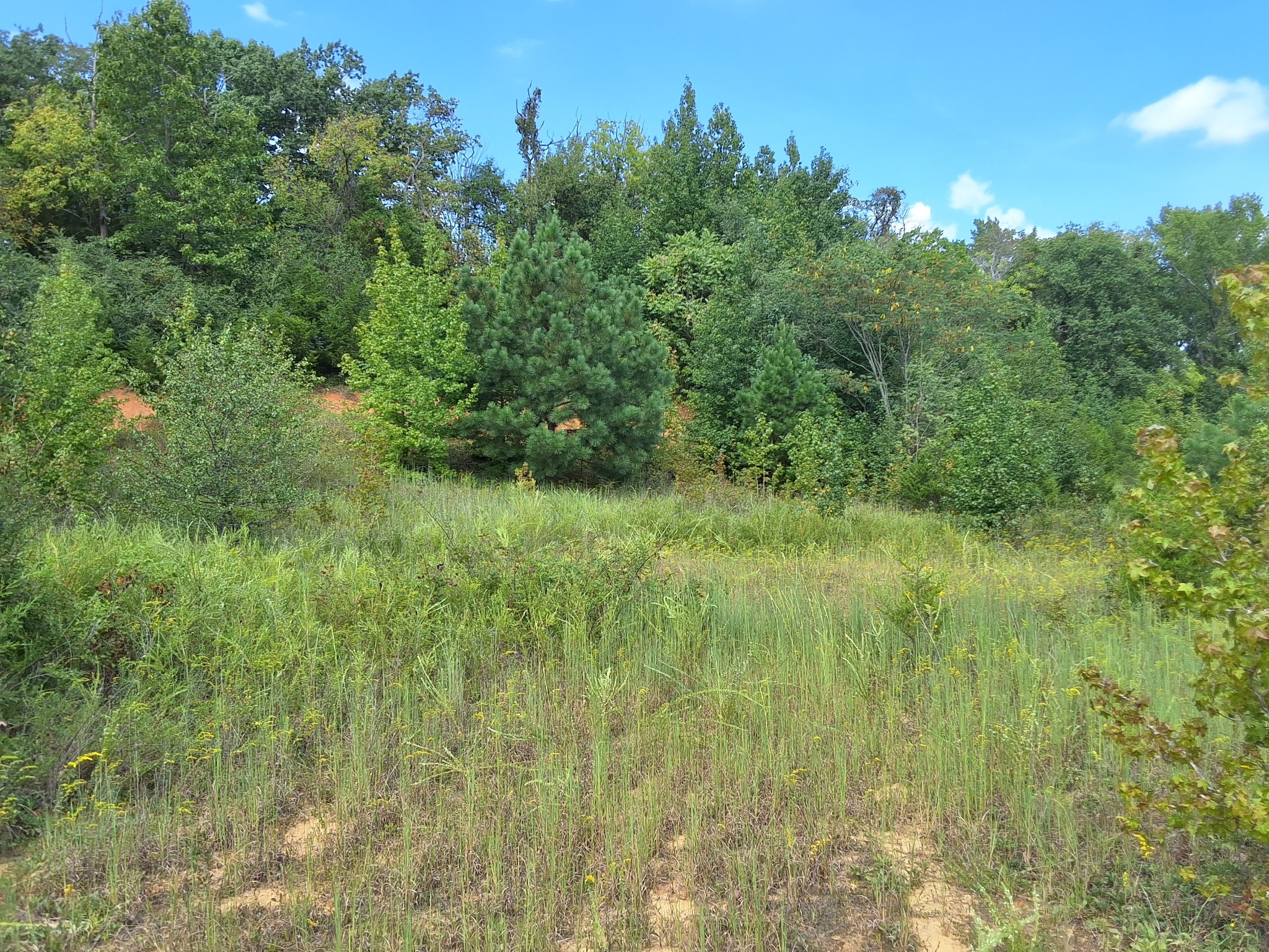 4675 Benders Ferry Rd