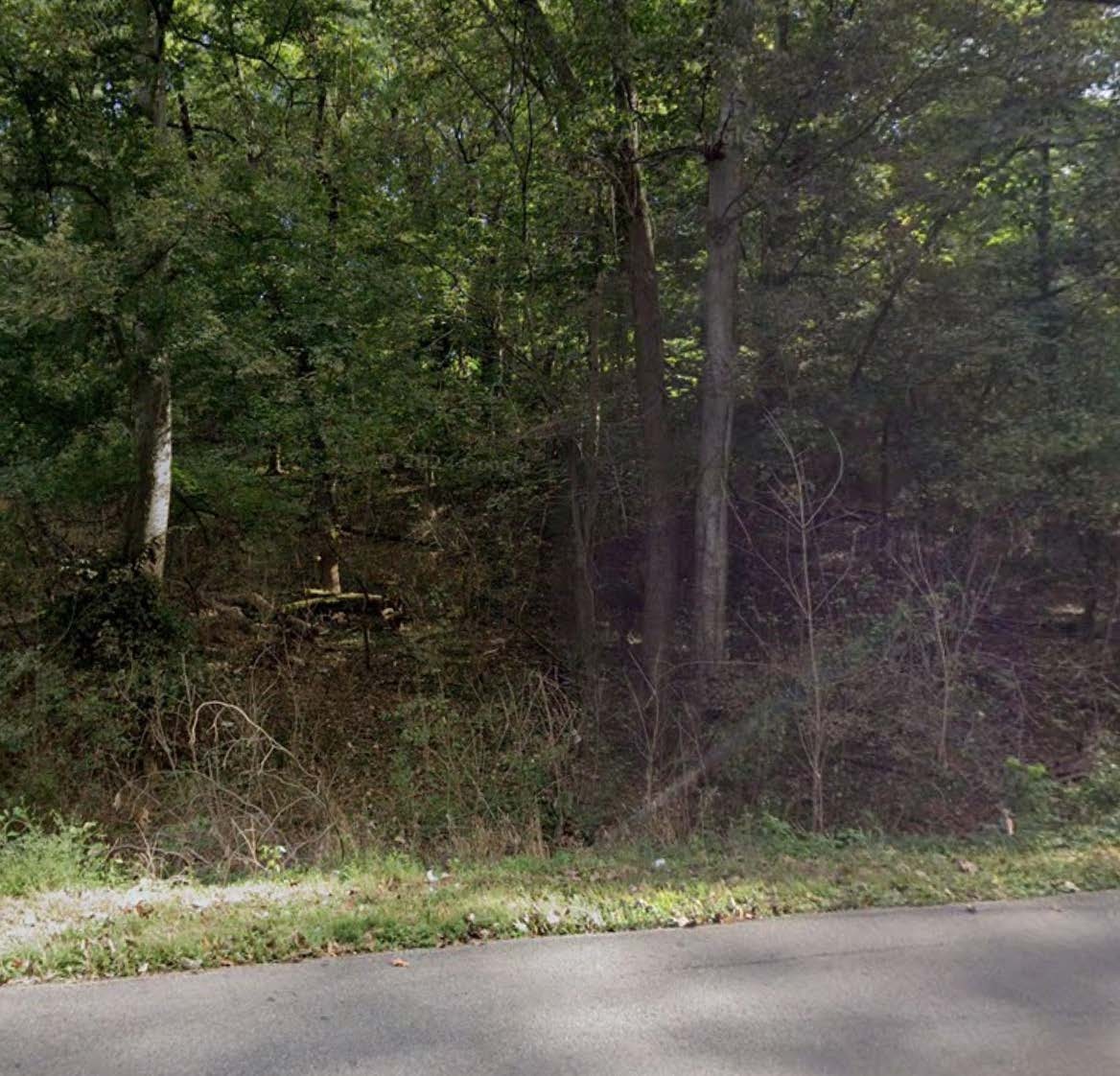 0 Saratoga Dr primary photo