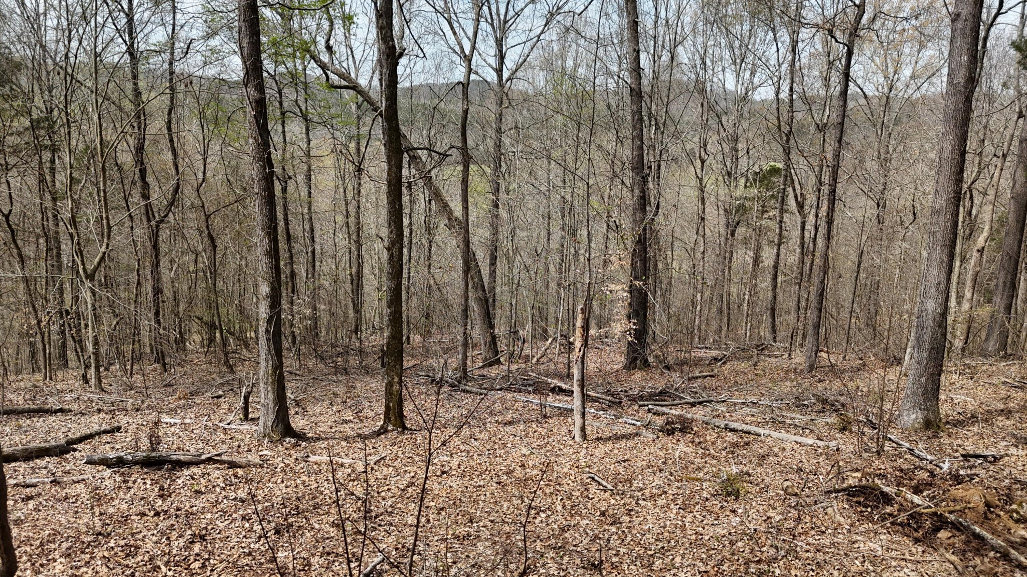 567 Geren Subdivision Lane