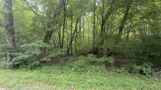 0 Brush Creek Rd primary photo