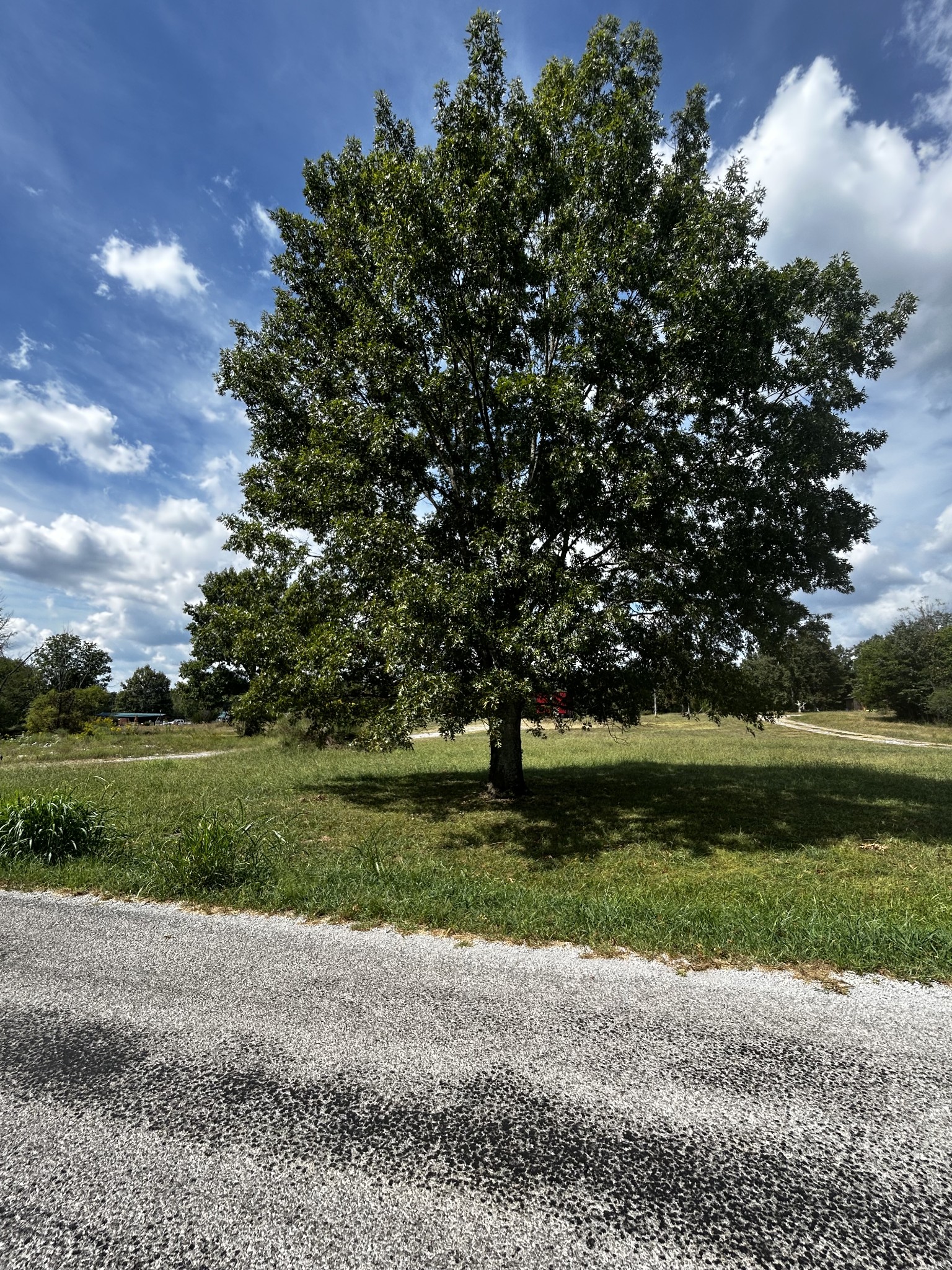 1171 Craig Moore Rd