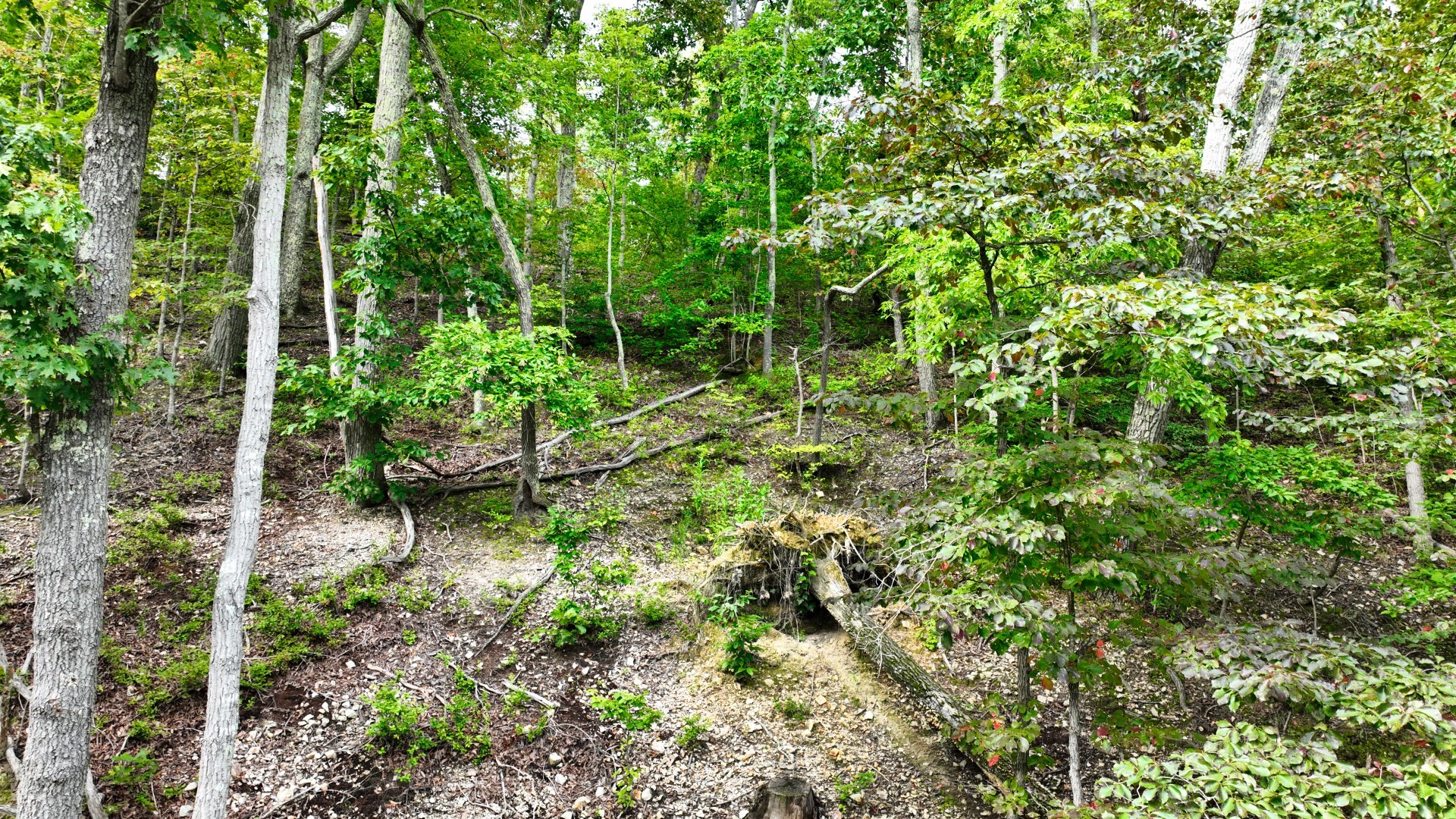 1 Ridge Top Rd