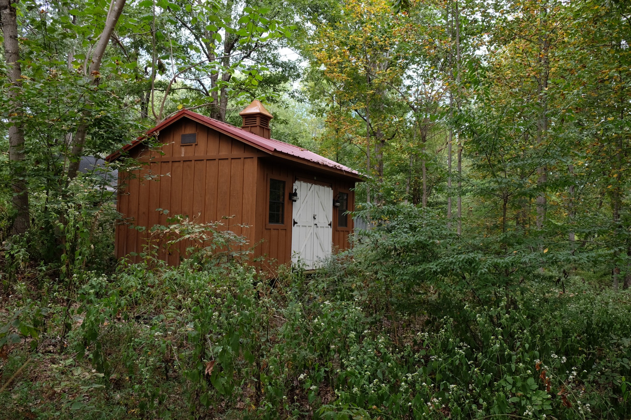 Photo 3