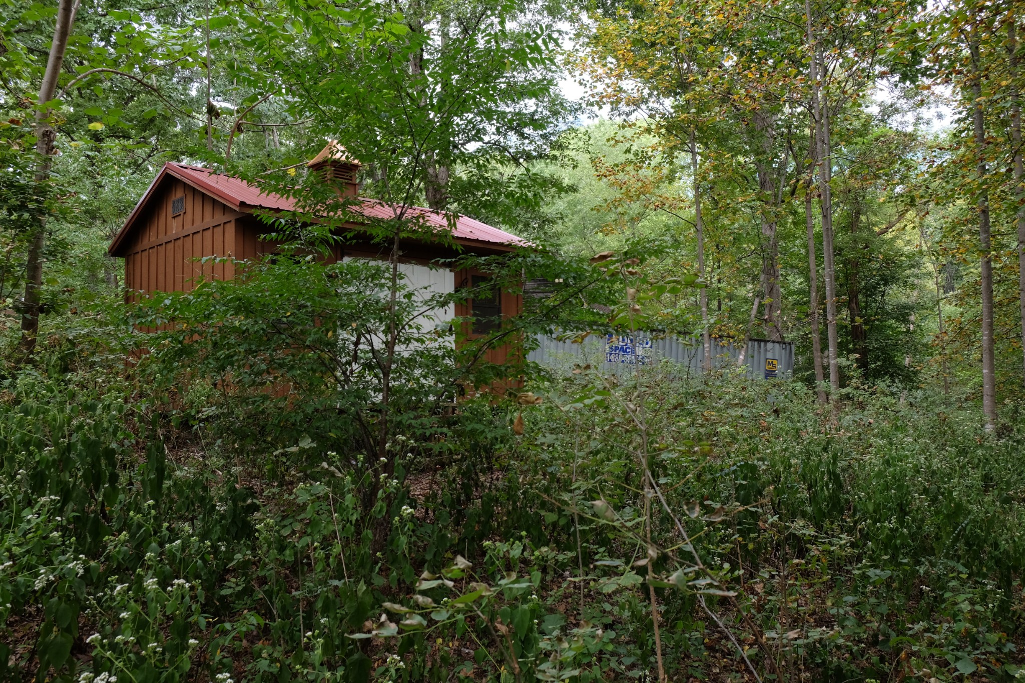Photo 4