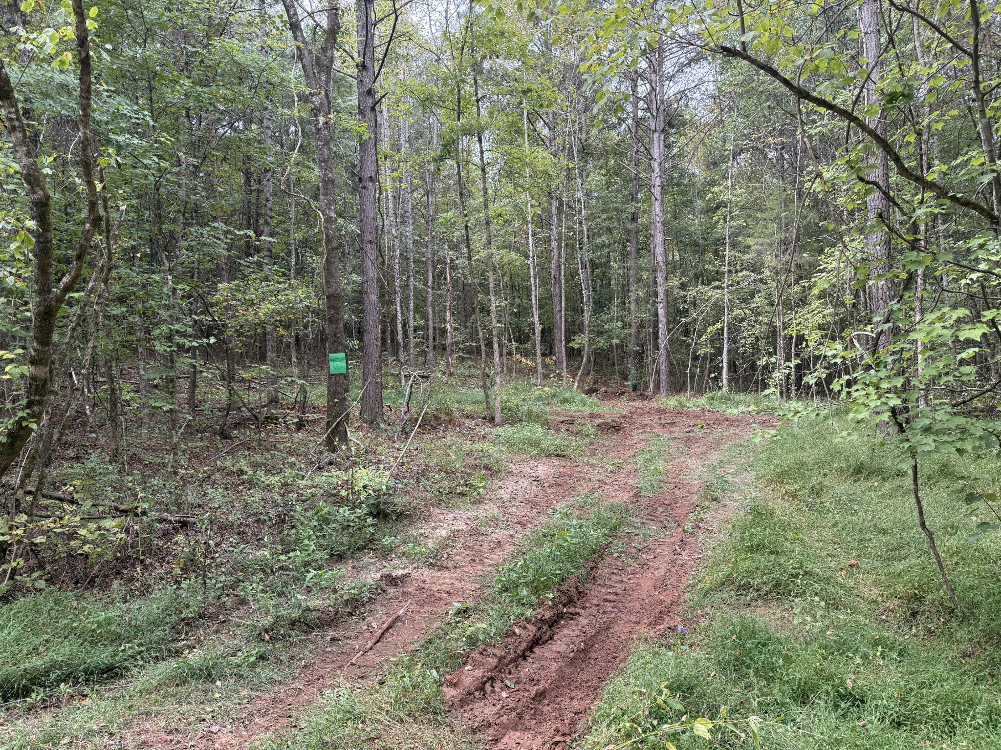 0 County Road 956