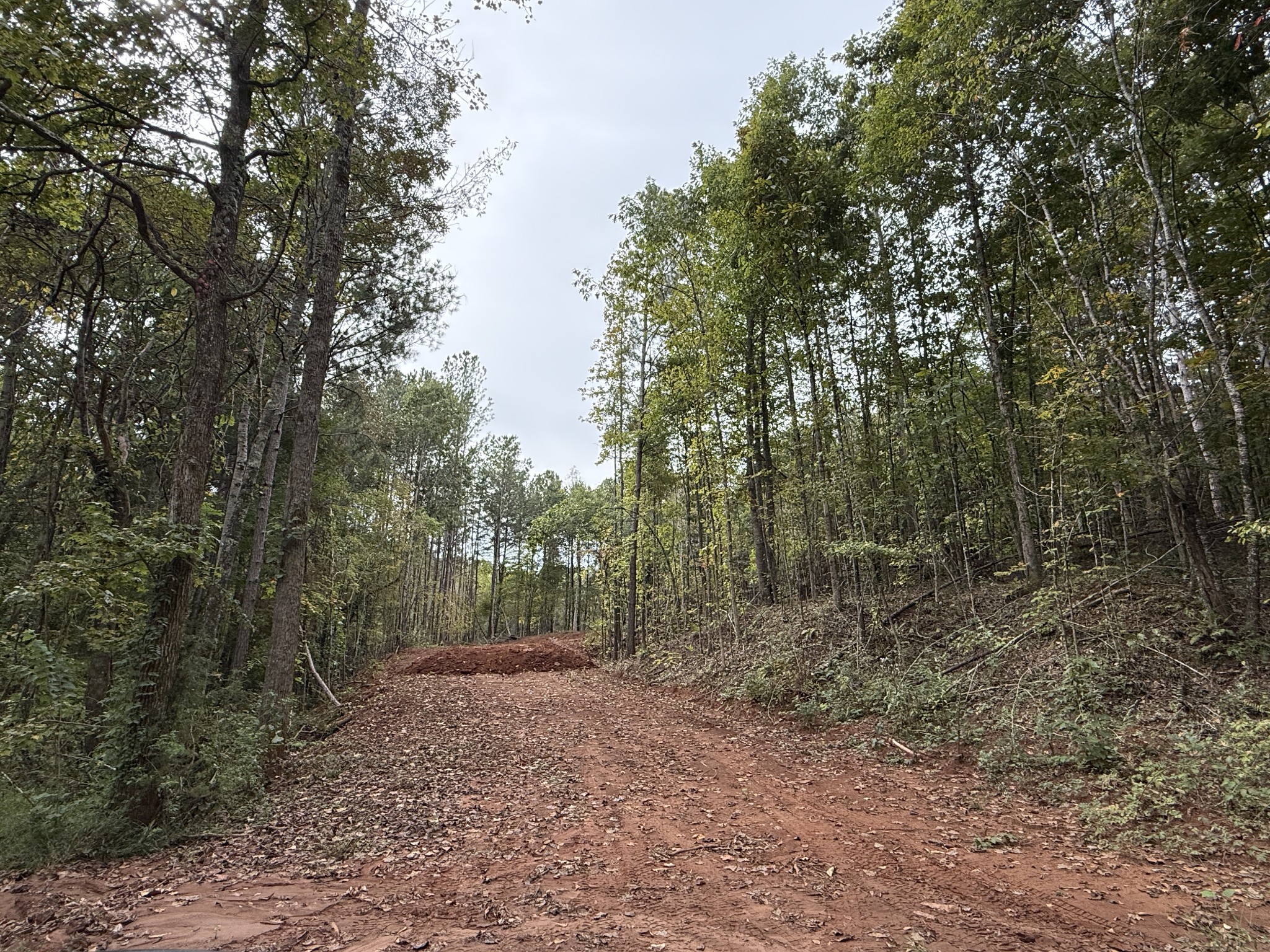 0 County Road 956
