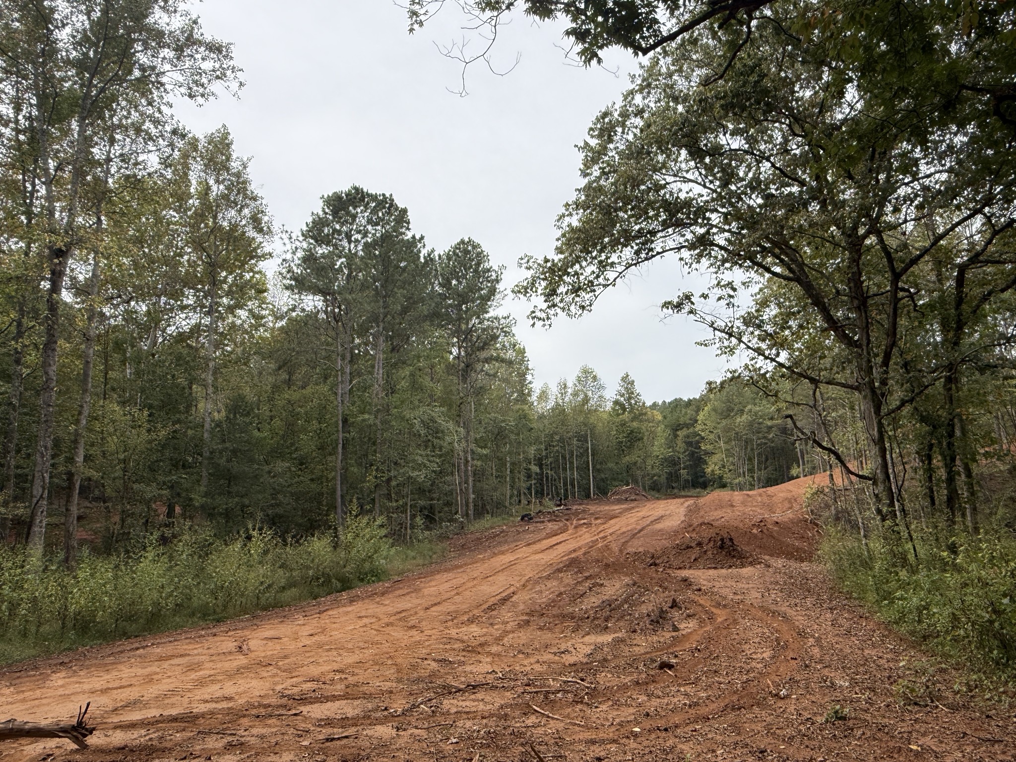 0 County Road 956