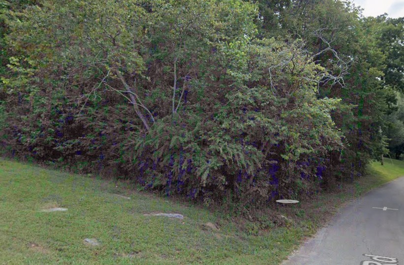 0 Burton Rd